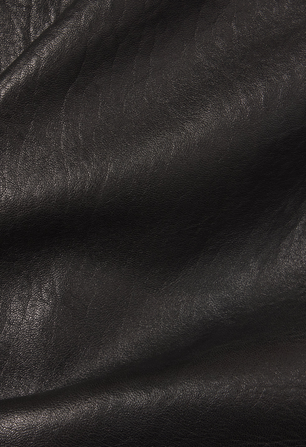 Leather Lautner Jacket / Black - Image 15