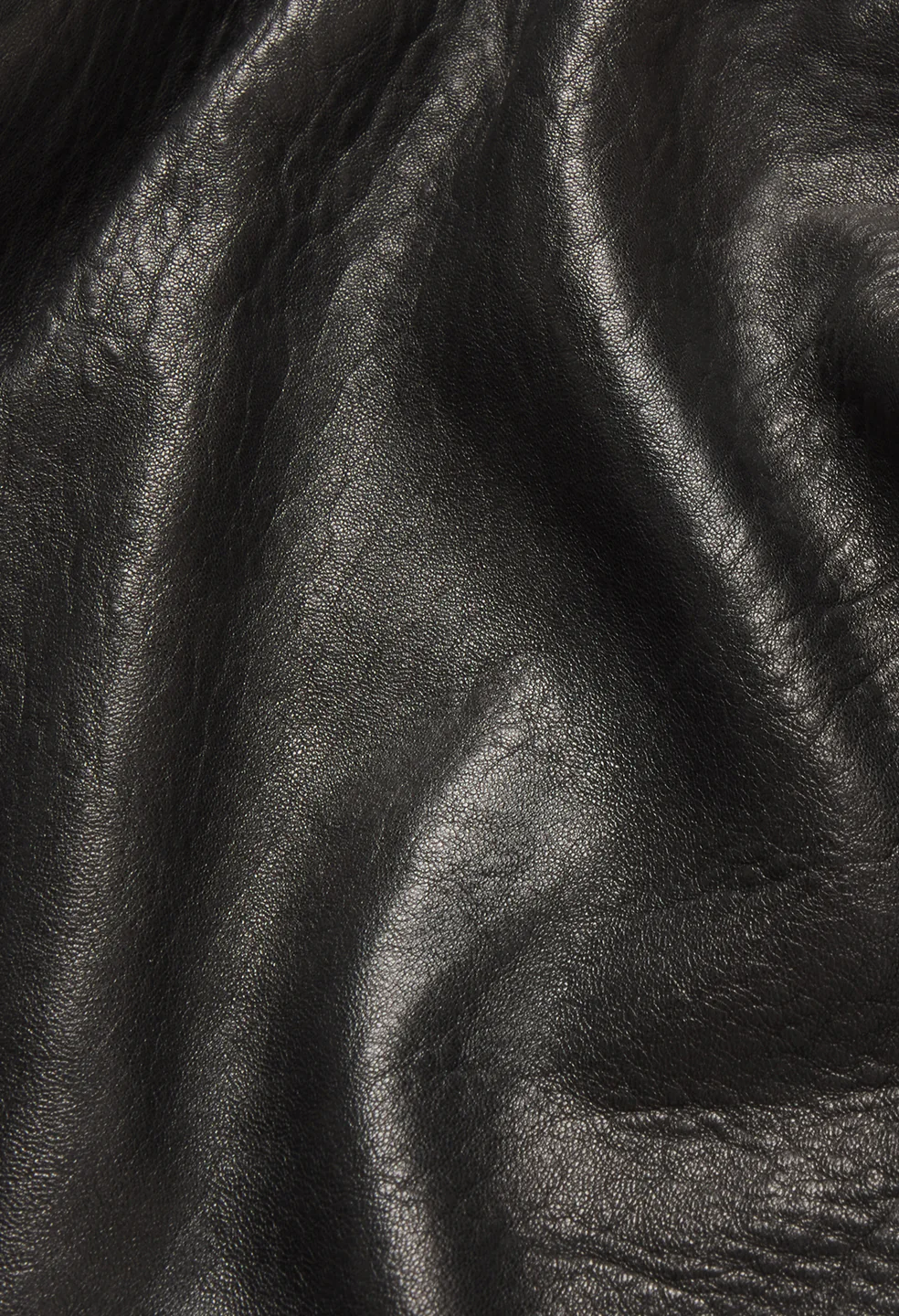Leather Lautner Jacket / Black - Image 16