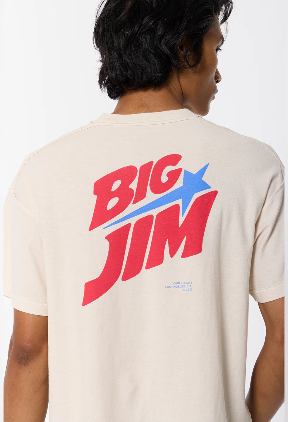 Summer Reversed Cropped Tee / Big Jim - Image 8